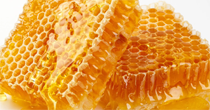 Mật ong nguyên chất rừng U Minh